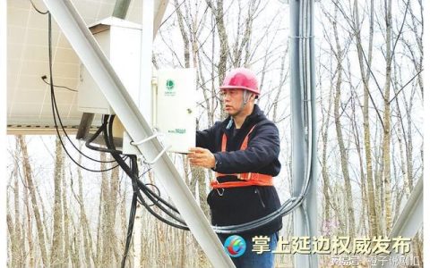 聆听劳模故事｜魏茂林：奉献十余载 守望山林绿(全国劳模魏存成简历介绍)