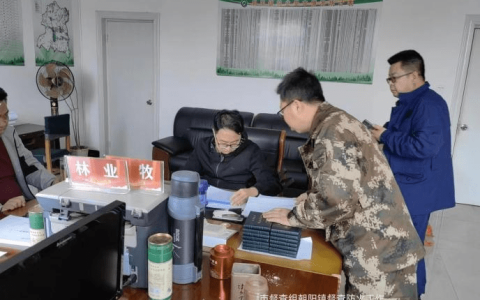 晋中市森林草原防火督导检查(森林草原防火巡查)