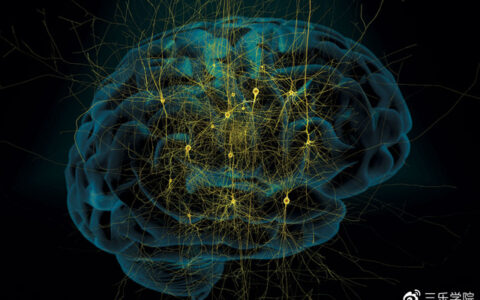 人类大脑相当于多少台电脑？存储能力20T，能耗极低-人类的大脑内存有多大