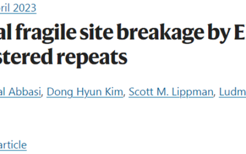 Nature：研究揭示世界上90%以上的人口都被感染过的EBV病毒，可诱导癌症产生！-nature科学家上帝