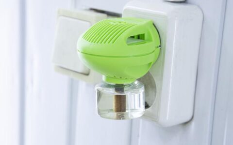 仅靠蚊香？驱蚊只有这几种天敌才是王道！(驱蚊虫用什么香)