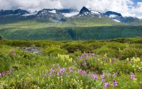 脑筋急转弯：世界上最干净的球，到底是什么球呢？这答案笑喷了