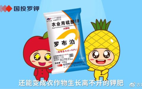 罗布泊硫酸钾的作用和用法-罗布泊硫酸钾使用方法