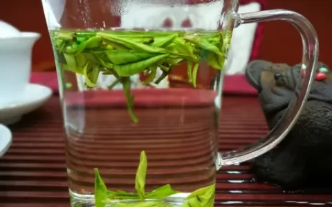 白茶哪几个牌子是最靠谱的（白茶加陈皮功效与作用与作用）