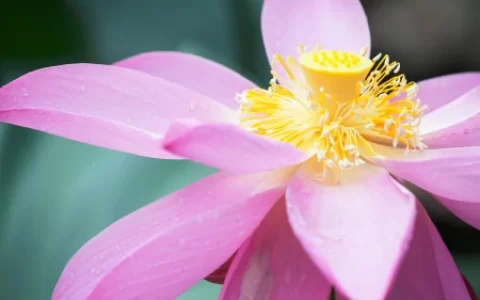 小男孩名字大全2022最新版的免费