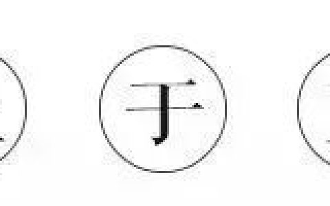 2019萌新请注意！你有一份“入东指南”等待查收！(入东道路)