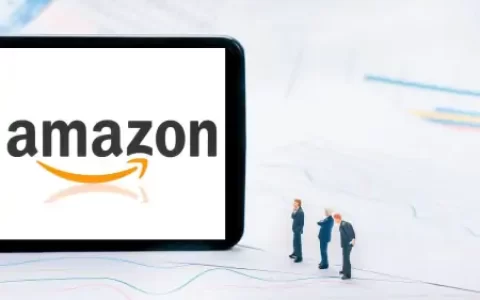 尽管扭亏为盈，亚马逊的电商业务仍未增长-尽管扭亏为盈,亚马逊的电商业务仍未增长的原因