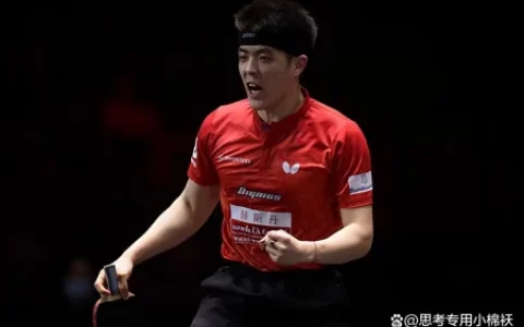 国乒遍地开花！华裔球员连夺5冠：50岁老将登顶，还有人轰出11-0(女子乒乓华裔)