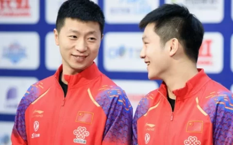 国乒最新消息：马龙、樊振东新职务曝光，肖战成陈幸同主管教练(乒乓球马龙樊振东比赛视频播放)