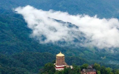 去有风的地方！来自都江堰的『春日山遇记』，在八百里青山间沐春风、山野花海里寻仙踪~(都江堰,作文)