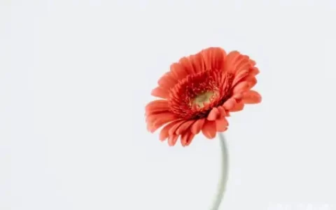 受到巨蟹座的暗恋，看起来没有什么动静，实则多了许多端倪-巨蟹座对喜欢自己的人是什么态度