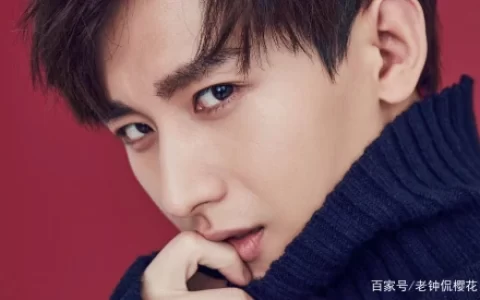 新顶流成毅？官宣5部电视剧，他会成为下一个肖战吗(成毅新拍电视剧)