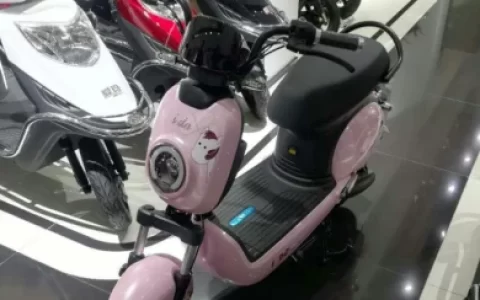 电瓶车能带人上路吗-宁波电瓶车可以带人吗?