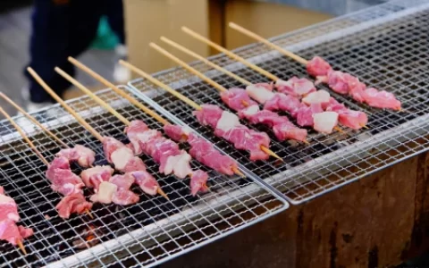 美味好玩的炭烤牛肉串——烤肉爱好者的首选(碳烤牛肉怎么做)