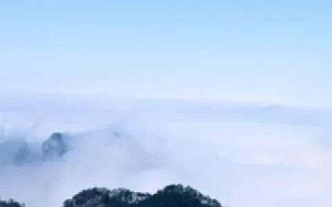 有道词典笔和阿尔法蛋选哪个好