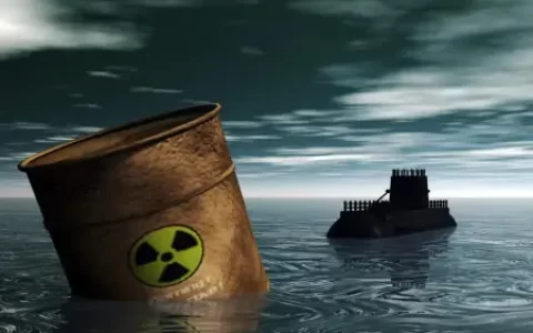 日本正在让全世界为其买单，海滩惊现大量生物尸体，蔓延上百米-日本海域变异物种