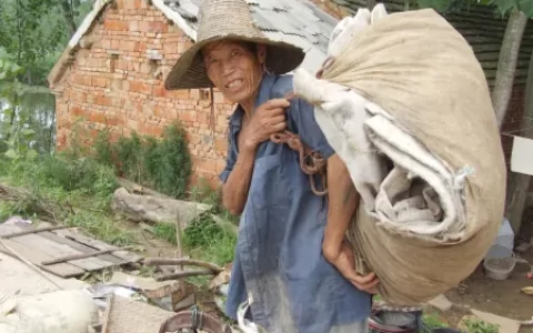 适合穷人翻身的10个行业，不再为创业项目发愁了！(穷人翻身创业项目2021)