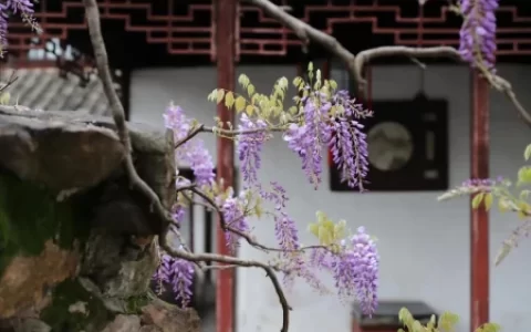 一下15课《文具的家》教学设计(文具的家教学内容)