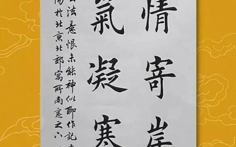 每日一字：情（857）(情字一字伤人至深)