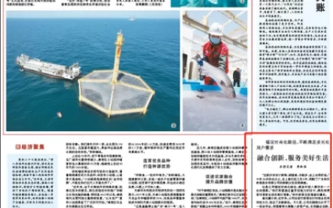 人民日报点赞，美好生活交给林氏木业(人民日报从哪年开始)