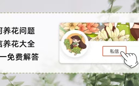 一颗种子泡水里，7天长出小嫩芽，开出碗大的荷花(种子一般泡水多长时间)