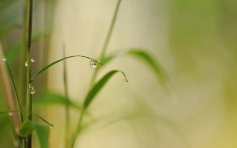 王维最经典的7首诗，诗中有画，一生一定要读一次！(王维最经典12首诗)