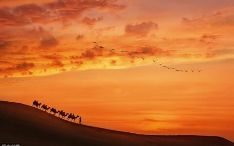 王维最负盛名的边塞诗篇，其中一句被王国维评为“千古壮观”(王维的边塞诗有哪些特点)