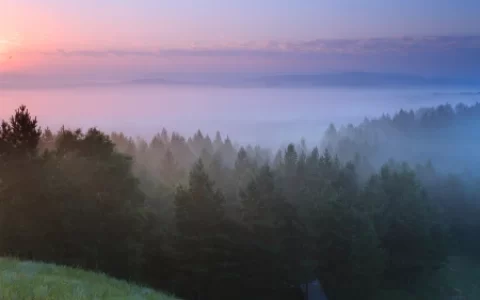 王维很有哲理的一首诗，每一句都是至理名言，读懂了受益终身！(王维经典诗句100句)