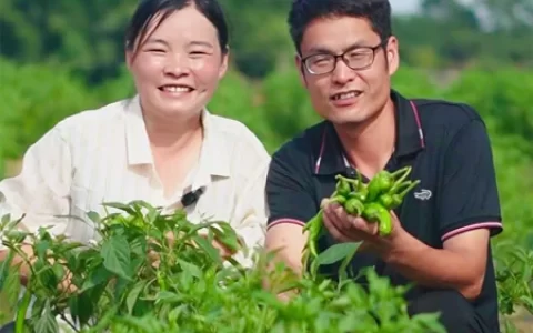 湘潭县：我的家乡就是“有风的地方”(我的家乡湘乡)