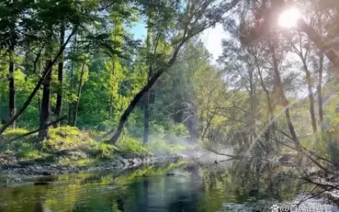 首席消费官：董明珠股份遭冻结 蜜雪冰城回应饮品中喝到大蟑螂（董明珠和王冰冰cp）