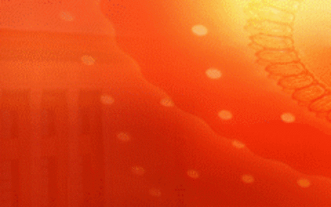 警惕！接到“95”开头电话，要当心(接了95开头的电话会被骗吗怎么办)