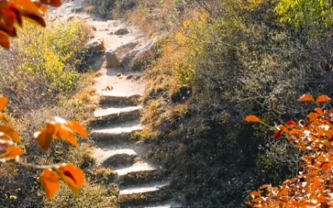 “三步法”精准掌握中学语法难点“非谓语动词-分词用法”(非谓语动词的分词用法有哪些)