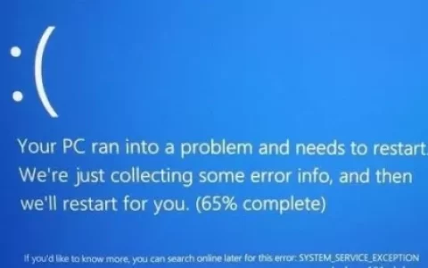 在Windows中修复“系统服务异常”错误的方法（win10修复在哪）