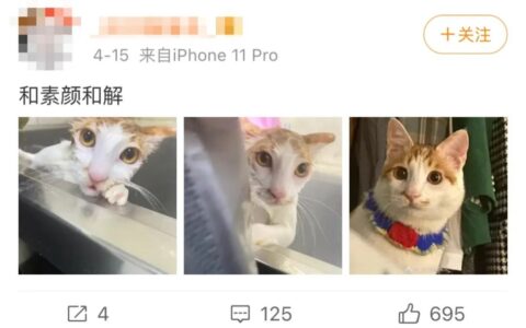 居家办公你“与素颜和解”了吗？“素颜”用英文怎么说？(素颜的英文怎么写)