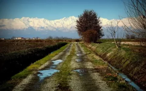 爸妈最成功的地方，就是在这2件事上给孩子自由，越不管越有出息-父母最大的成功,是在这3件事上不管孩子