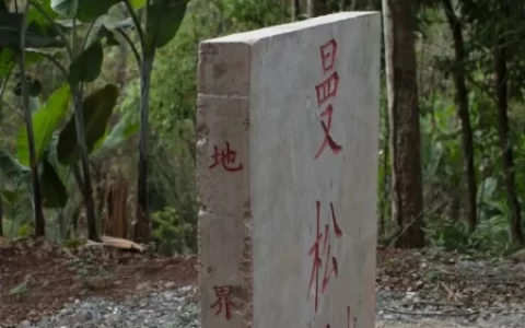 “班章王，易武后”带你走近不一样的易武茶-走近易武2-班章和易武的区别