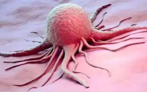 6种碱性食物，别不舍得吃，或能防癌，助力健康-5种碱性食物