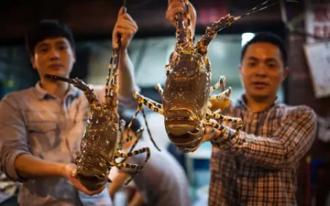 海鲜可以空运吗？需要注意些什么？快递海鲜的注意事项-海鲜能空运吗 顺丰