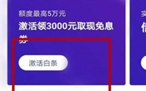 实测报告（二）京东白条上征信报告！本质为消费贷（京东白条上个人征信么）