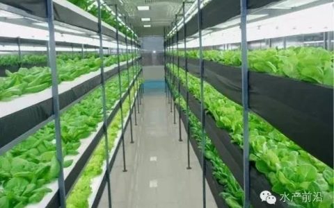 农村未来10大暴利行业之：有机农业（中国有机农业的发展方向）