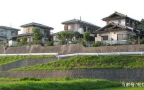 农村现在最缺什么生意？哪些将会是农村暴利行业？看完就明白了（不愁销路的小型加工厂 农村）