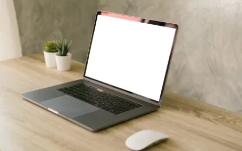 笔记本电脑排名前十的品牌有哪些（笔记本电脑排名前十的有哪几个品牌）