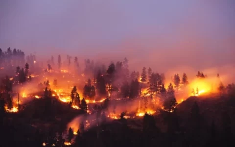 火灾过后会产生哪些有毒有害气体，如何火灾自救？（火灾中有毒气体）