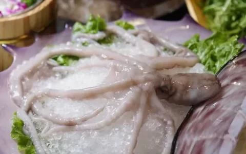 “海底美食”如何制作口感鲜美的葱爆八爪鱼？（葱油八爪鱼的做法）