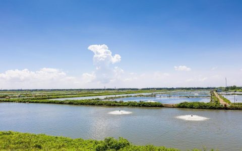 水产养殖的基础——水（水产养殖方式有几种方式）