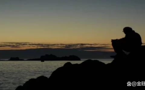 顶尖销售人才的5大优点-顶尖销售人才的5大优点是哪些