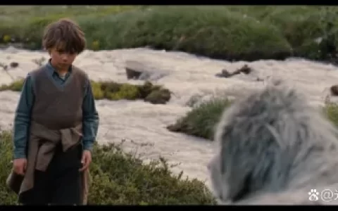 《灵犬雪莉》法国/冒险/剧情-灵犬雪莉故事是什么