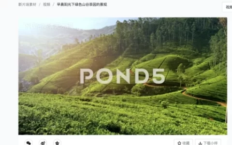 新片场与pond5合作，正版商业视频素材、音乐素材网站推荐给你！