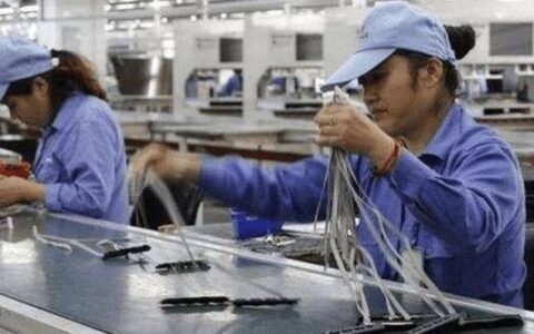 返乡创业成热潮，农村2大项目行情不错，日赚好几百 早布局早赚钱