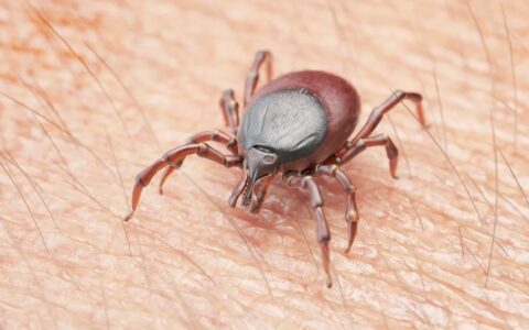 进入流行高峰！江苏疾控发布最新提示！(江苏最新疫情防控规定)